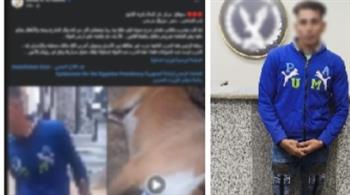 ضبط مزارع ضرب كلب "بالكوريك" بسوهاج