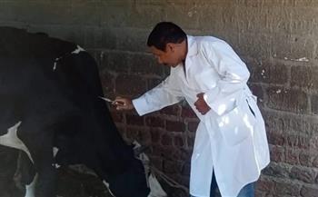 محافظ أسيوط: تحصين 112 ألف رأس ماشية ونشر 1574 فرقة بيطرية خلال 5 أسابيع