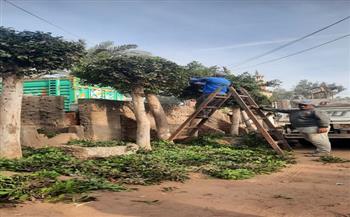 محافظ الغربية يتابع أعمال التجميل بكفر الزيات ويُشيد بالمظهر الحضاري