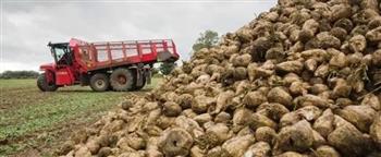 واردات السكر القياسية تهدد مزارعي جنوب إفريقيا بخسائر وإغلاق مزارع