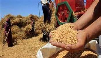 بعد الإعلان عن إنشاء 50 صومعة .. تعرف على خريطة الصوامع الجديدة التي تعزز أمن مصر الغذائي