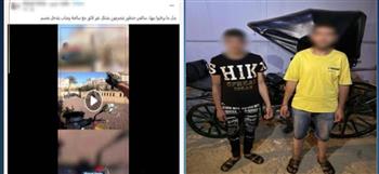 الداخلية تكشف ملابسات واقعة إجبار سائحة على ركوب حنطور في الإسكندرية