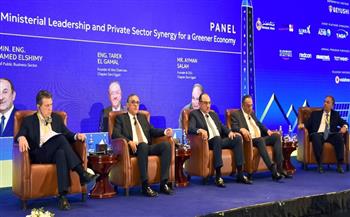 رئيس هيئة الاستثمار: إنتاج ضخم للألواح الشمسية في مصر بنسبة مكون محلي 90% في الربع الأول من 2026