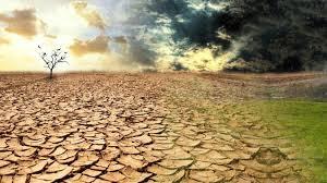 "الفاو" تحذر من "أزمة صامتة" تهدد مليارات البشر بسبب تدهور الأراضي وانخفاض الإنتاج الزراعي