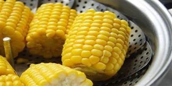 فى الشتاء .. تناول الذرة المسلوقة او المشوية لهذه الفوائد