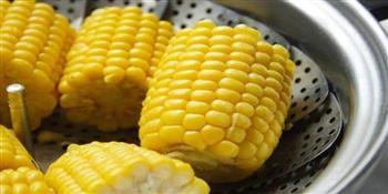 فى الشتاء .. تناول الذرة المسلوقة او المشوية لهذه الفوائد
