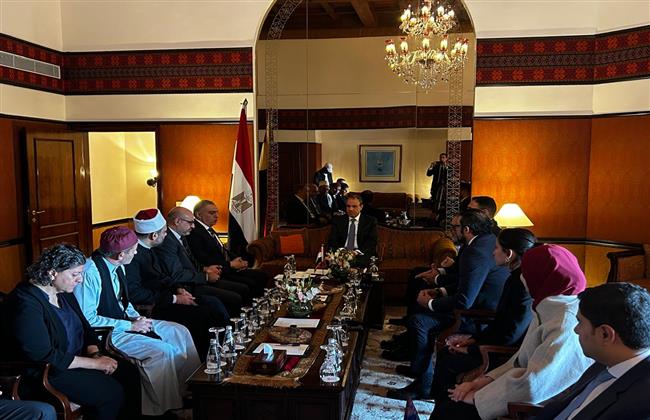 وزير الخارجية: الدولة المصرية تولي أقصى درجات الاهتمام والعناية بالجاليات المصرية بالخارج