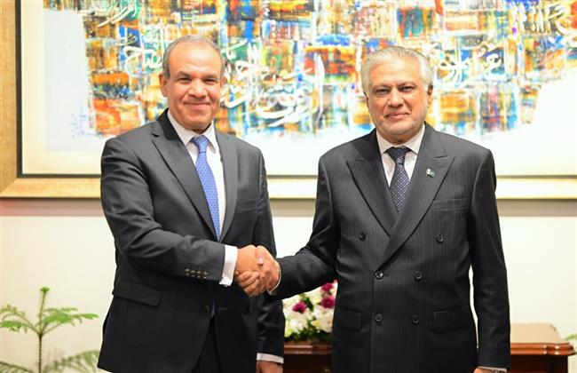 وزير الخارجية يؤكد الحرص على تفعيل دورية انعقاد الأطر المؤسسية للحوار بين مصر وباكستان