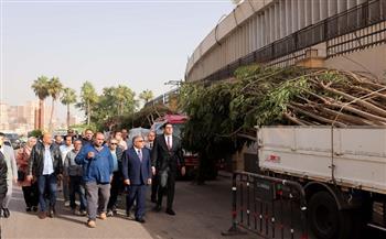 محافظ الدقهلية يشهد استلام 27 ألف شجرة ضمن المرحلة الرابعة لمبادرة "100 مليون شجرة"
