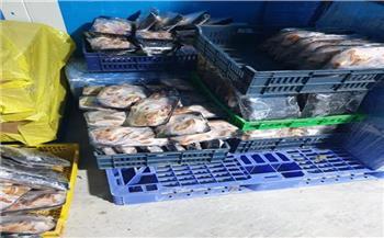 ضبط 8.3 طن دواجن وأسماك مجمدة منتهية الصلاحية بمحافظة الشرقية