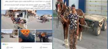 ضبط قائد عربة كارو صدم سيدة وفر هاربا في العريش