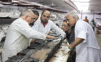 «ياشيمورا» و«الجايكا»..  تعاون «مصرى – يابانى» ألهم الجميع