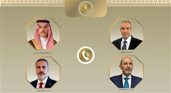 وزير الخارجية يؤكد ثوابت الموقف المصري الداعم لوحدة واستقرار السودان