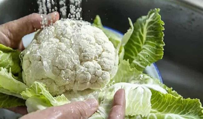 للتخلص من ديدان القرنبيط في دقائق بتلك الحيل 