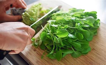 الجرجير .. أبسط وأغنى أنواع الخضار لصحتك 