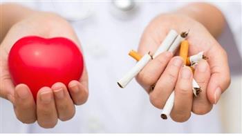 التدخين.. ضرره  يبدأ من الرئتين إلى القلب