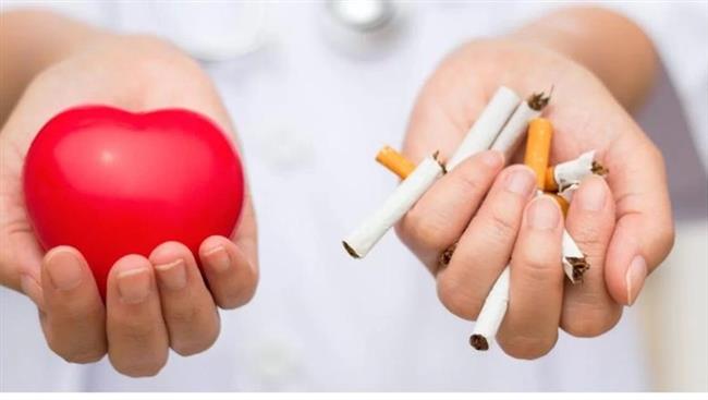 التدخين.. ضرره  يبدأ من الرئتين إلى القلب