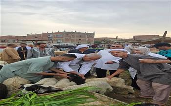 محافظ الجيزة: تحصين 83 ألفًا و700 رأس ماشية ضمن الحملة القومية الثالثة للحفاظ على الثروة الحيوانية