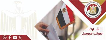الوطنية للانتخابات تكشف تفاصيل تصويت المصريين بالخارج في انتخابات النواب.. البداية من نيوزيلندا