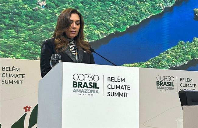 القائم بأعمال وزير البيئة: هدف تمويل المناخ يجب أن يوازن بين احتياجات الدول النامية والتخفيف والتكيف