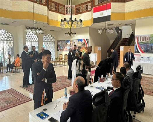 انتظام وإقبال كبير في أولى أيام تصويت المصريين بالخارج بانتخابات النواب 2025