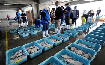 الصين: سنواصل رصد عينات مياه فوكوشيما المعالجة في ظل استئناف استيراد المأكولات البحرية اليابانية