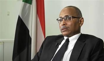 سفير السودان في فيينا: لا يجب أن يقف المجتمع الدولي صامتا أمام جرائم ذبح الأبرياء ببلادنا