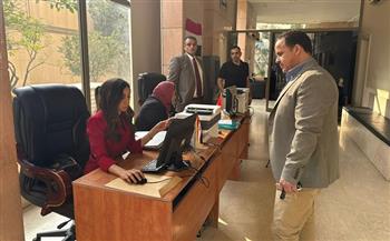 المصريون في لبنان يواصلون المشاركة في انتخابات مجلس النواب 2025