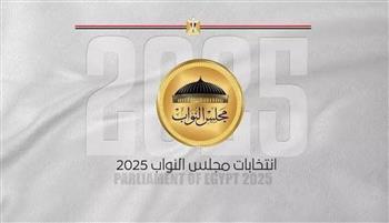 المصريون في بلغاريا رومانيا وروسيا وتركيا يواصلون المشاركة في انتخابات مجلس النواب 2025