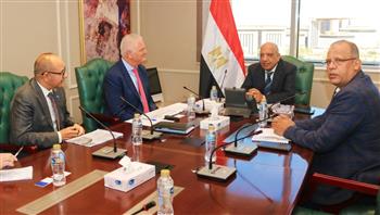 وزير الكهرباء يبحث مع تحالف "رينيرجي جروب" إقامة مشروع متكامل للطاقات المتجددة في سيناء