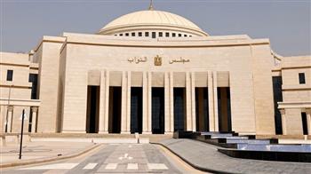 المصريون يواصلون بالخارج الإدلاء بأصواتهم في المرحلة الأولى لانتخابات مجلس النواب 2025