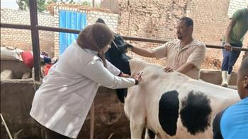 محافظ أسيوط: تحصين أكثر من 36 ألف رأس ماشية ضد الأمراض الوبائية