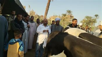 "الزراعة" تواصل حملاتها المكثفة للمرور على أسواق الماشية بالمحافظات لمتابعة استقرار الوضع الوبائي