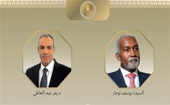 وزير الخارجية يبحث هاتفيًا مع نظيره النيجيري سبل تعزيز العلاقات الثنائية بين البلدين