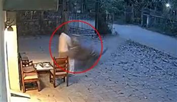 فيديو مرعب.. نمر يهاجم رجلًا أثناء عمله في الهند