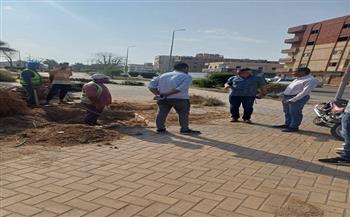 رئيس حي جنوب الغردقة يضبط مخالفات بيئية خلال جولة ميدانية بمنطقة أبو عشرة العلام