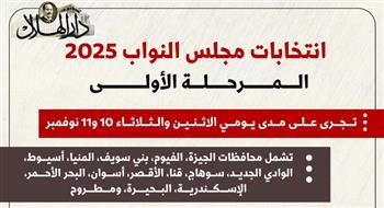 المرحلة الأولى من انتخابات النواب 2025 تنطلق غدًا في 14 محافظة.. انفوجراف