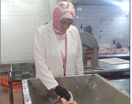 بيطرى الشرقية يضبط 7 أطنان دواجن مجهولة المصدر خلال حملة تفتيشية بمركز و مدينة بلبيس 