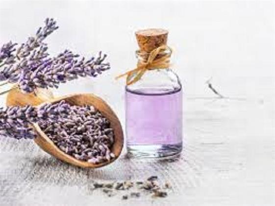 للشعور بالدفء بعد الاستحمام في الشتاء.. إليك تلك الزيوت العطرية