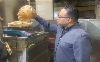 محافظ الدقهلية: تحرير 15 محضرا في حملة رقابية وتفتيشية على 21 مخبزا