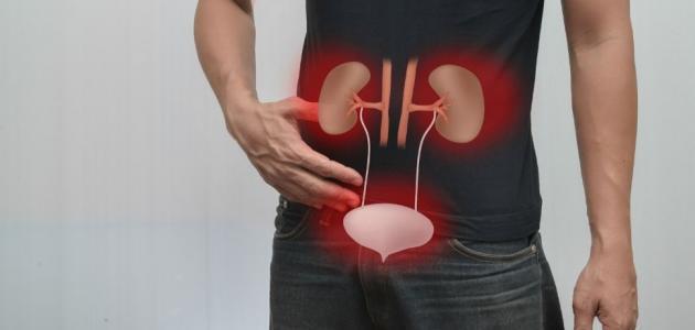 الأعراض الشائعة لإلتهاب الكلى..تعرف عليها