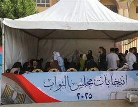 تشمل 4 دوائر.. تفاصيل انطلاق التصويت بلجان الاقتراع في البحيرة