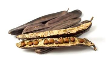 الخروب الجاف يقوي مناعتك في الشتاء