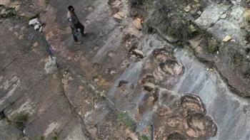 توثيق 16600 أثر قدم متحجر لديناصورات .. عمرها 66 مليون سنة