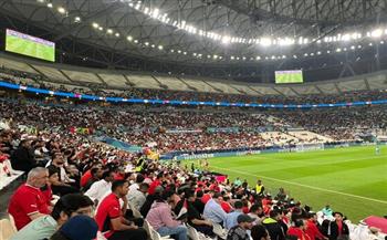 الجالية المصرية تتصدر المشهد.. والجماهير العربية تكمل اللوحة..   فى الدوحة.. العرب على قلب «مشجع واحد»