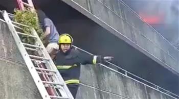 كلاب تسقط من السماء.. مشهد بطولي من كارثة في الفلبين (فيديو)