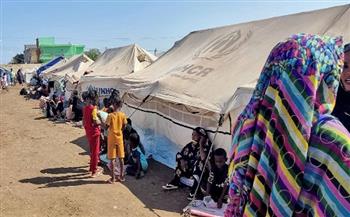 المجلس النرويجي للاجئين: انعدام الأمن الغذائي يهدد جنوب مالي مع توسع النزاع  