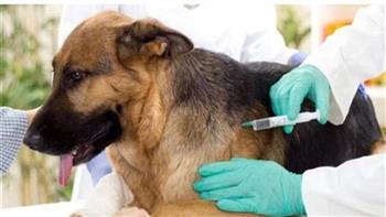 أزمة «عَقر» تُطارد «المارة»