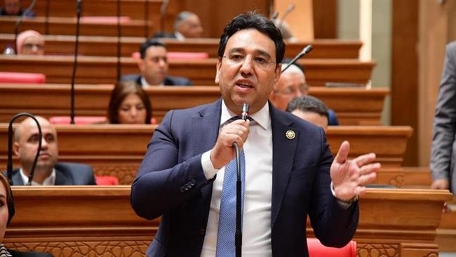 وكيل "الشئون العربية" بمجلس النواب يدعو المجتمع الدولي للضغط على الاحتلال لتنفيذ اتفاق غزة