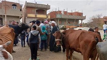 "بيطري الدقهلية": علاج وتحصين 3265 رأسا من الماشية والطيور في قافلة بيطرية بالسنبلاوين